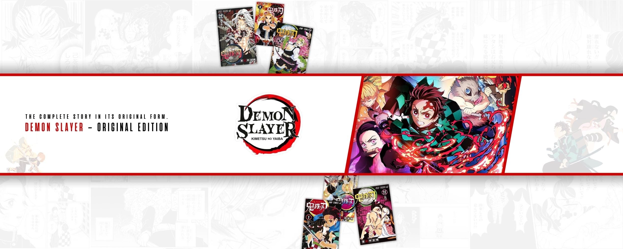 Manga - Demon Slayer