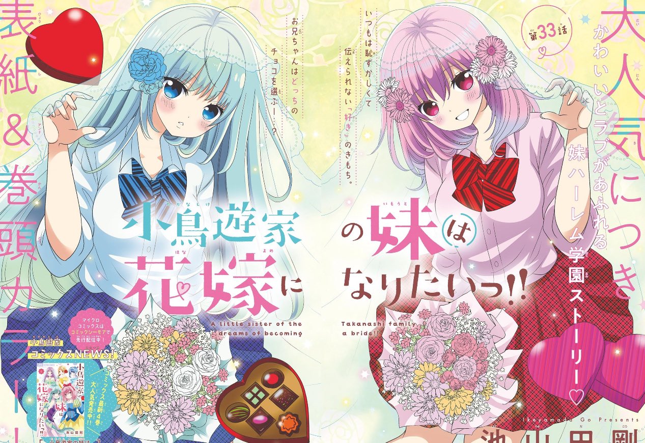 Sho-Comi 5 (2025) - TAKANASHI-KE NO IMOUTO WA HANAYOME NI NARITAI!!