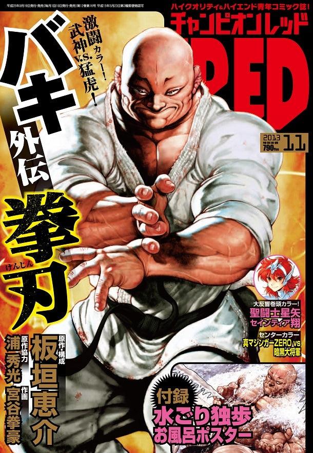 Champion RED 11 (2013) - BAKI