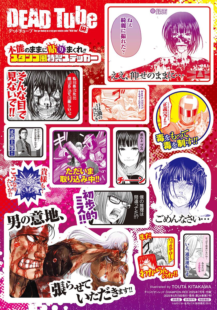 Champion RED 7 (2025) - DEAD TUBE