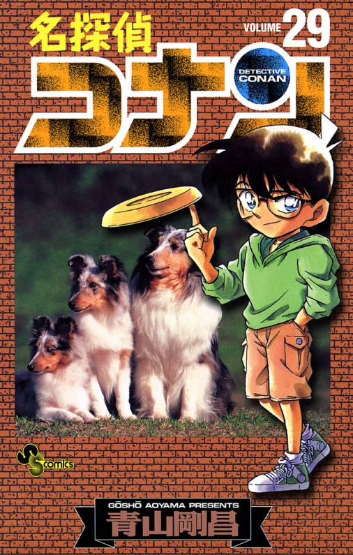 Detective Conan - Volume 29