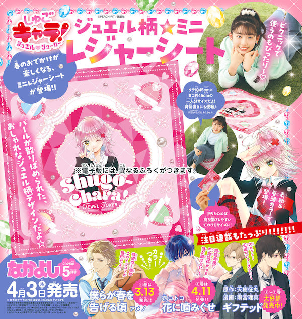 Nakayoshi #5 2025