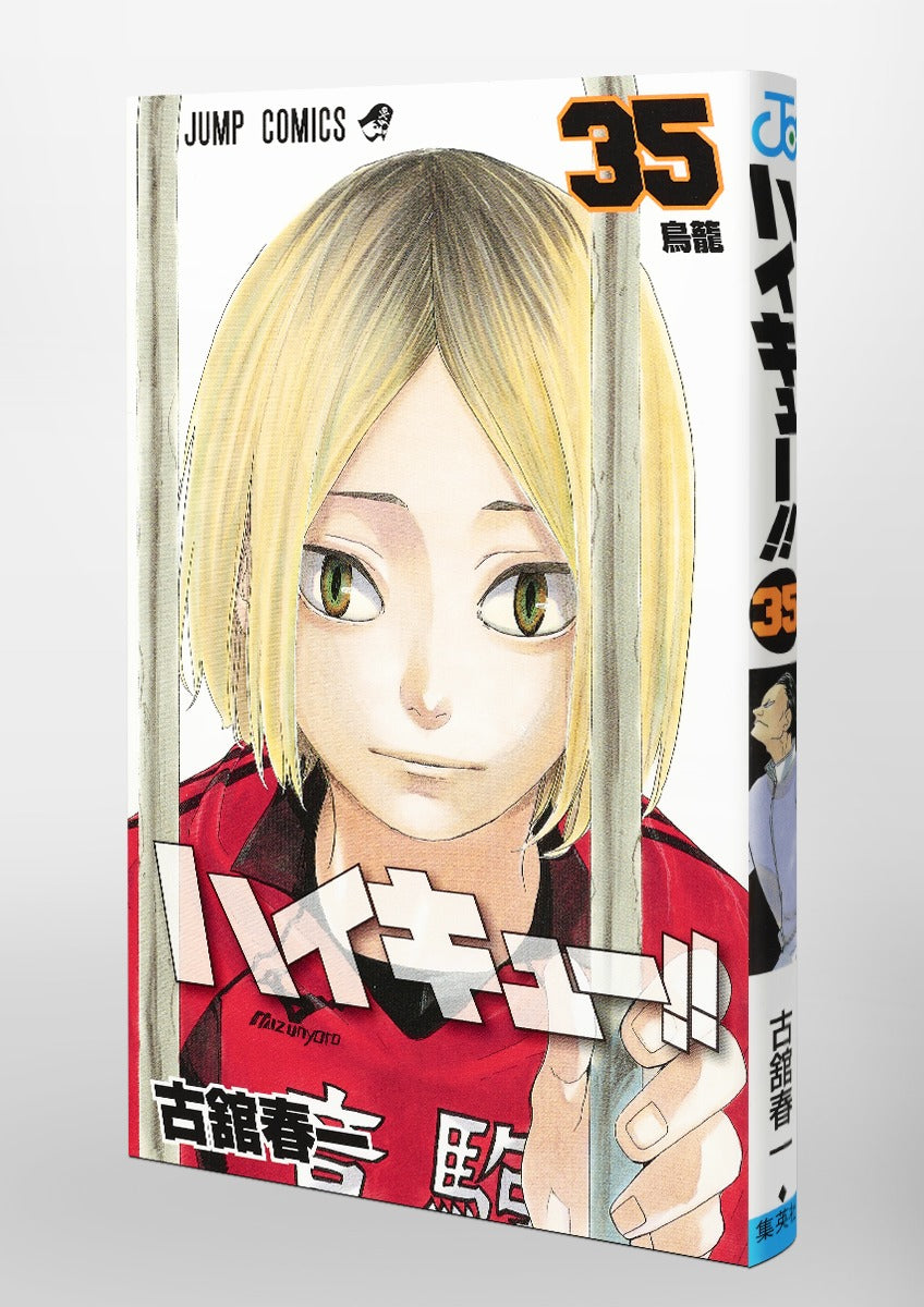 Haikyuu!! - Volume 35