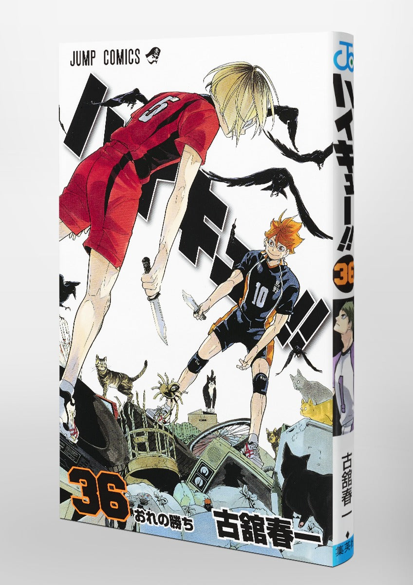 Haikyuu!! - Volume 36