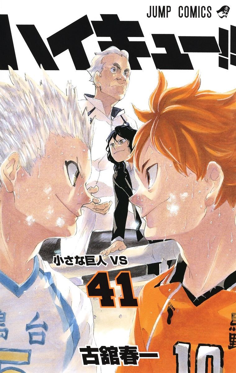 Haikyuu!! - Volume 41