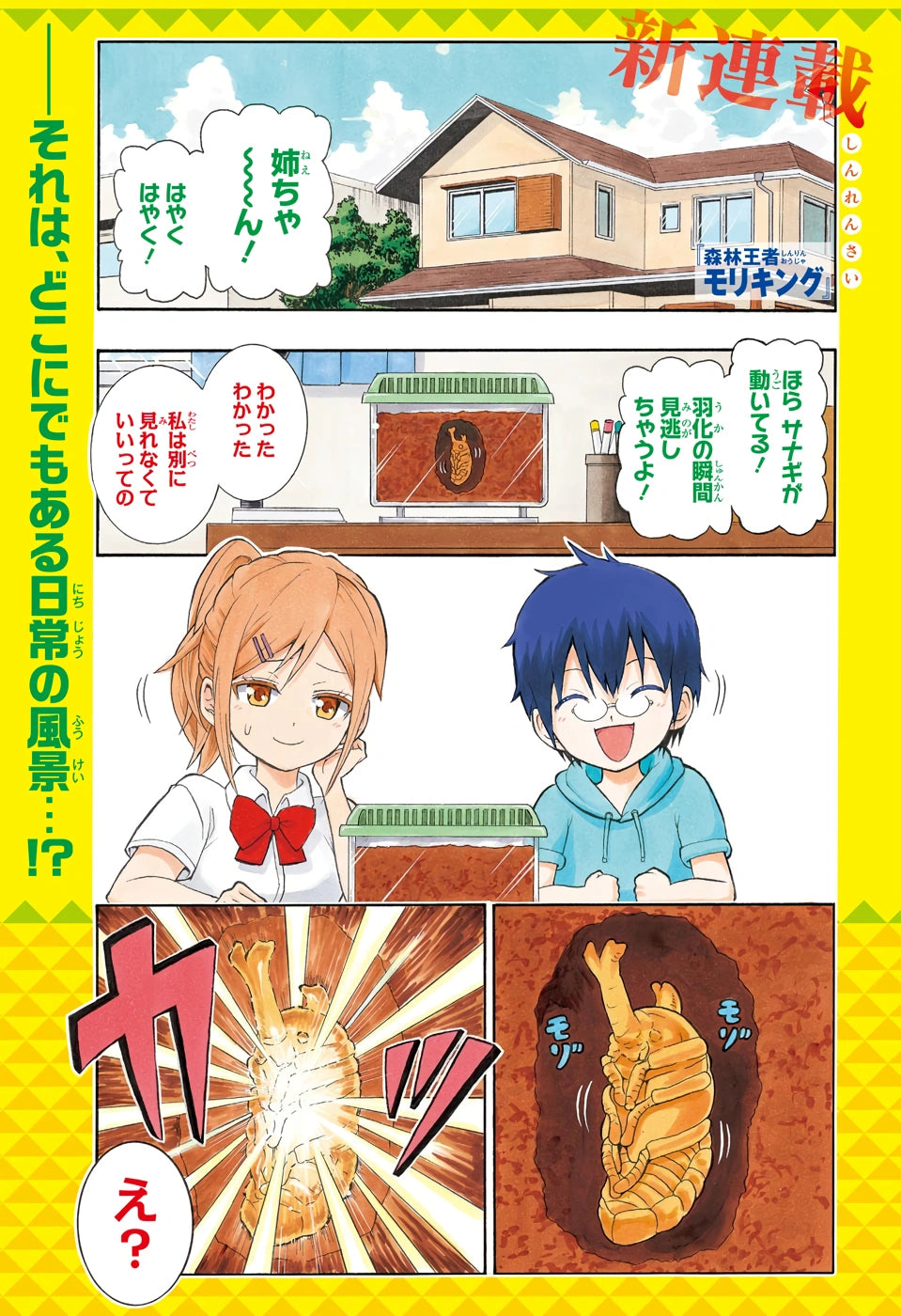 Weekly Shonen Jump 20 (2020) - SHINRIN OUJA MORI KING