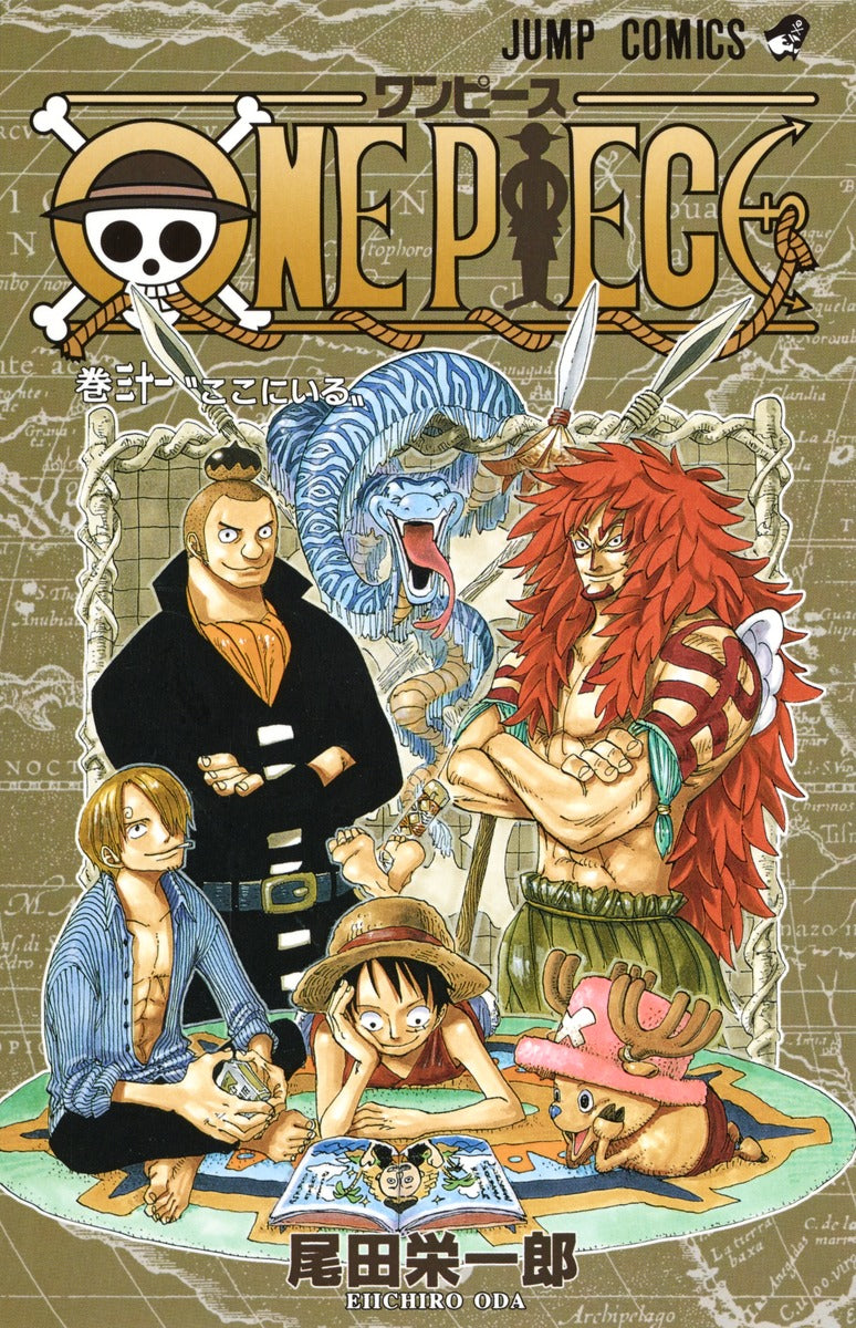 One Piece - Volume 31