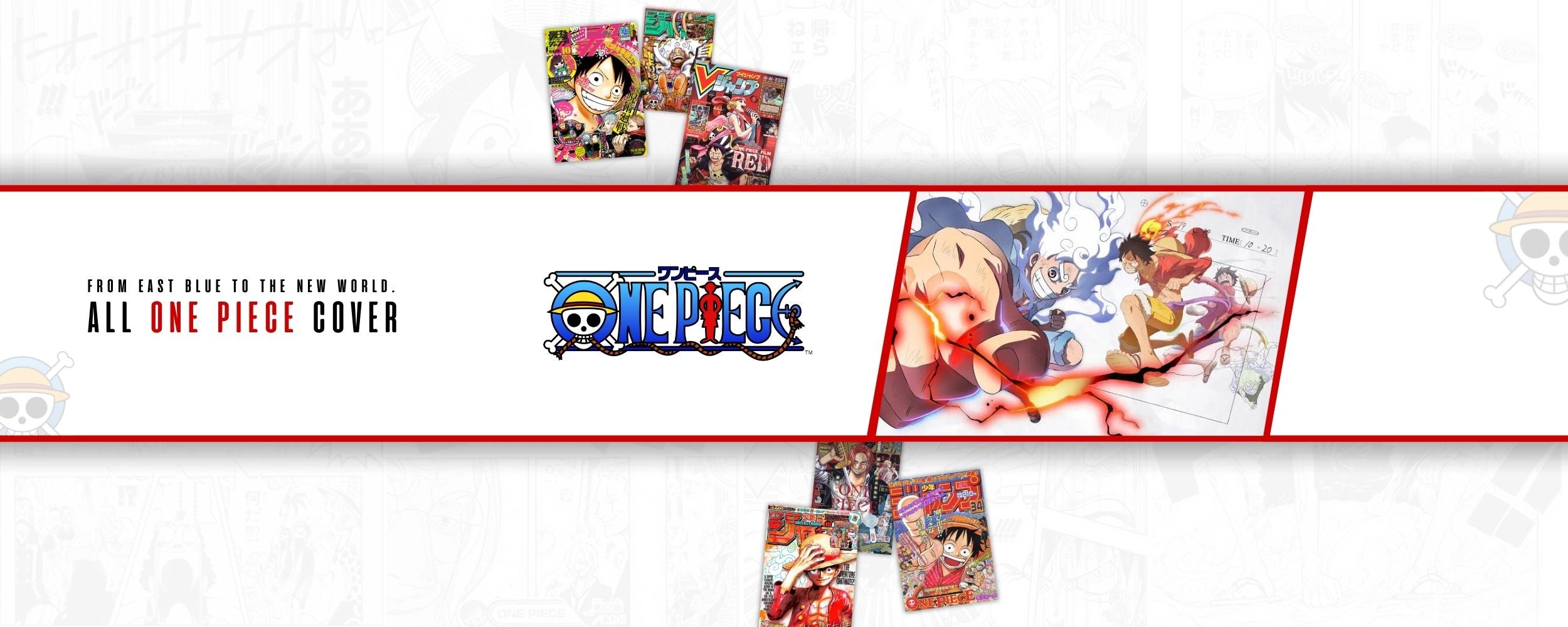 Magazines - One Piece