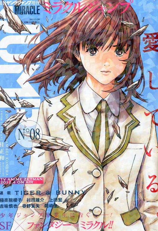 Miracle Jump #8 2012 | ZETMAN