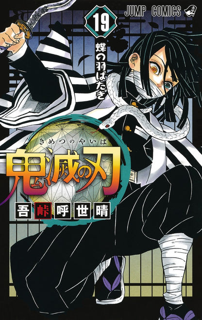 Demon Slayer - Volume 19