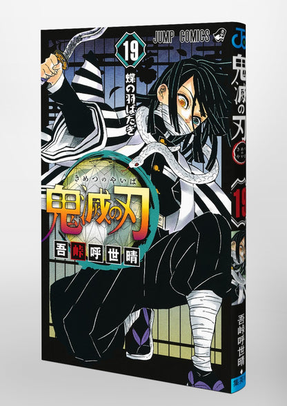 Demon Slayer - Volume 19