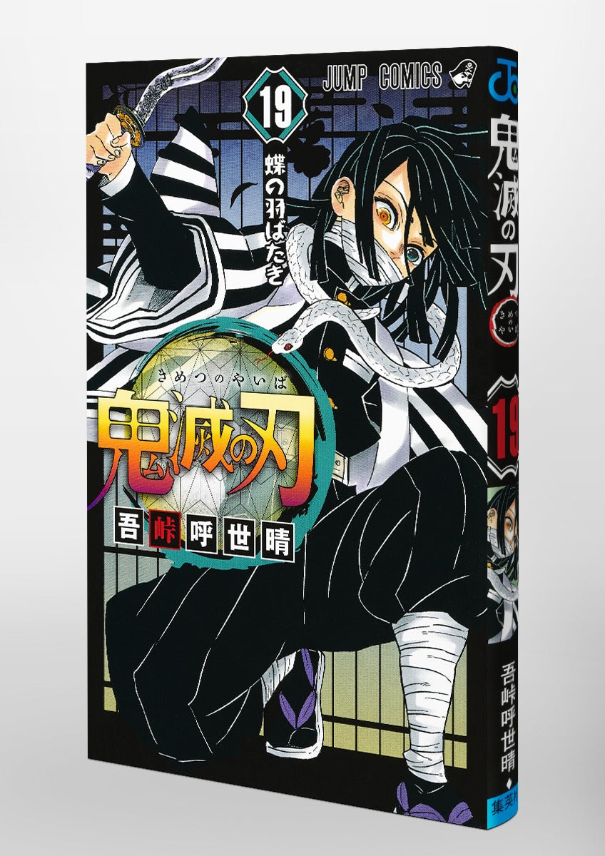 Demon Slayer - Volume 19