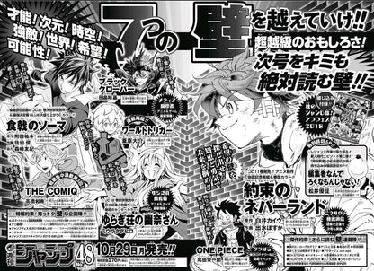 Weekly Shonen Jump 47 (2018) - ONE PIECE