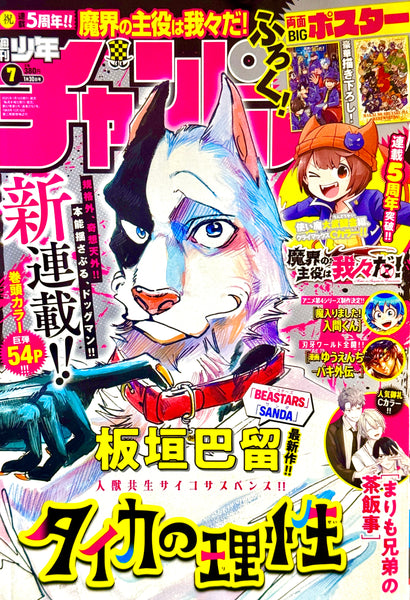 FREE magazine japan vol1〜7 81PDaRMmAOL._UF350,350_QL50_.jpg