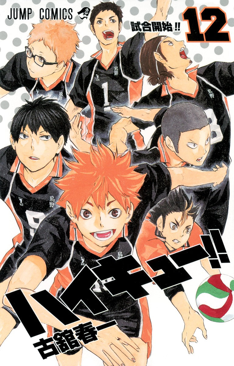 Haikyuu!! - Volume 12
