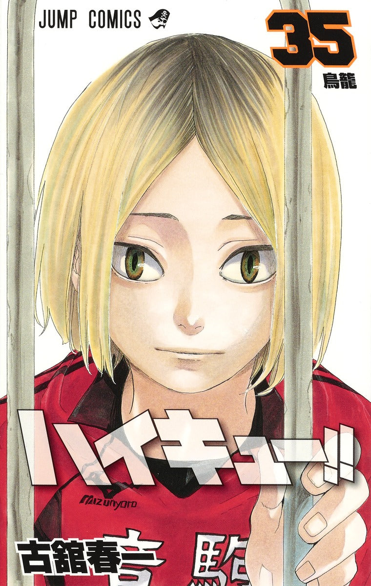 Haikyuu!! - Volume 35