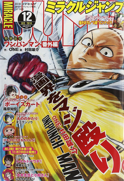 Miracle Jump 12 (2014) - ONE PUNCH MAN – JapanGoodz